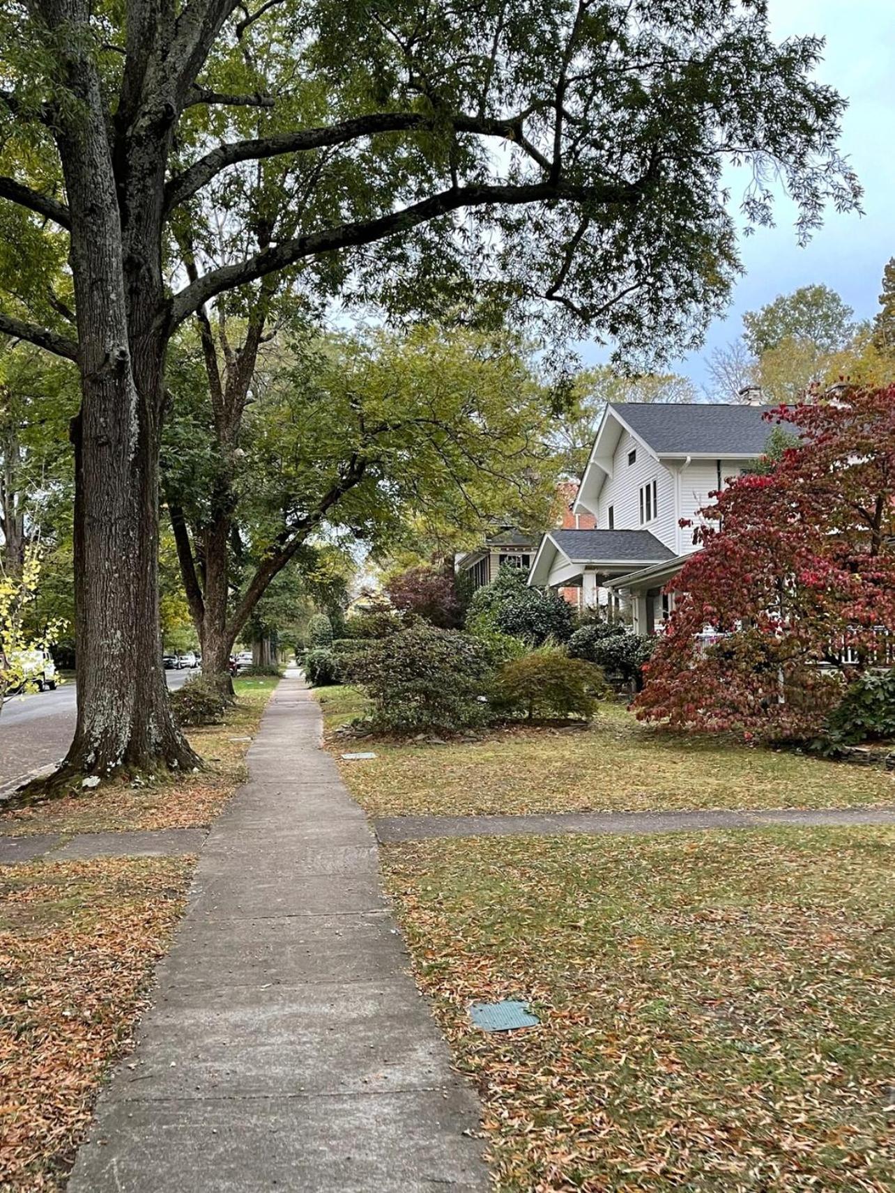 Walk To Duke Campus! 3 Bedroom In Trinity Park! Durham Eksteriør billede